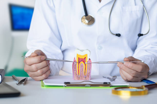 Best Emergency Broken Tooth Repair in Pontotoc, MS